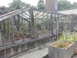 Rallidje 2017 - Serres du Jardin Botanique