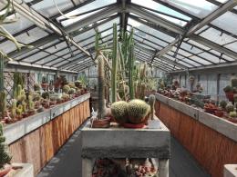 Rallidje 2017 - Serres du Jardin Botanique